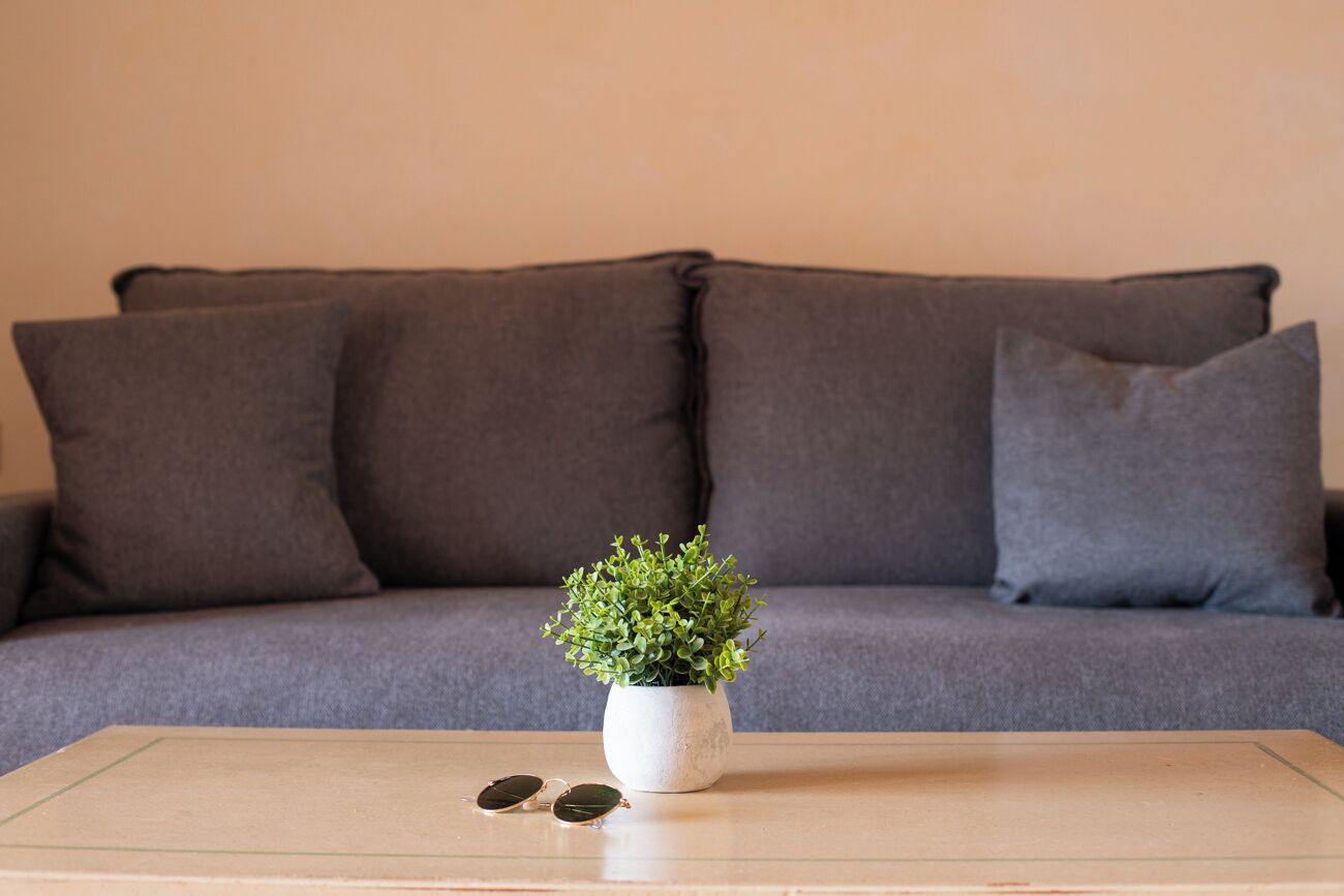 A grey sofa with a small potted plant and sunglasses on a glass table.