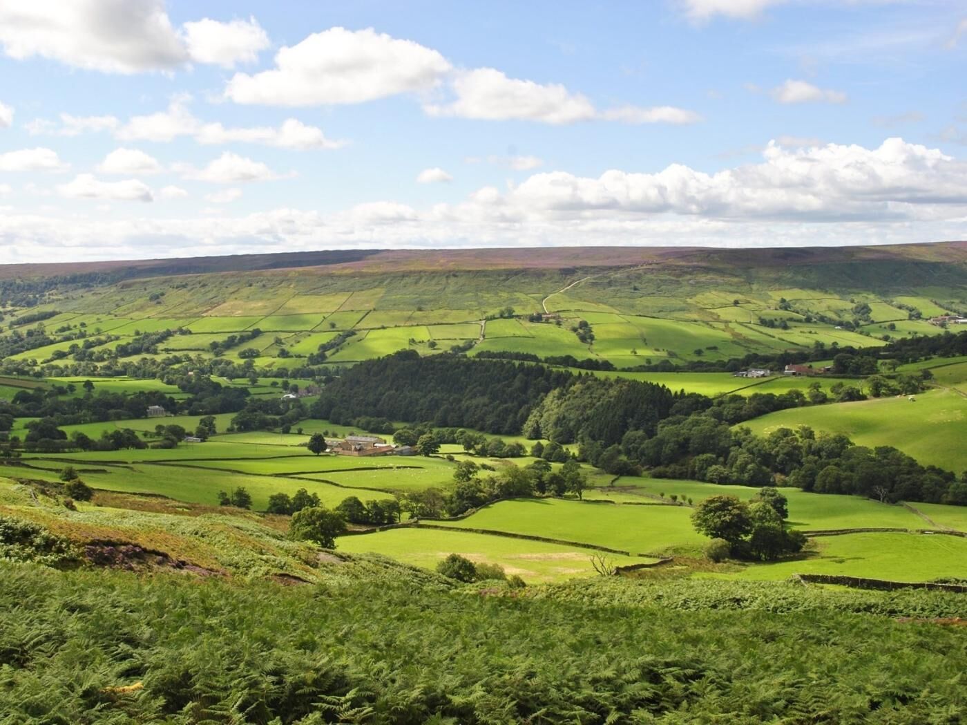 A rural landscape with rolling hills, fields, and scattered buildings.