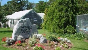 A large stone sign with 'Vermouth Country Cabins' written on it, surrounded by a landscaped garden with various plants and flowers.