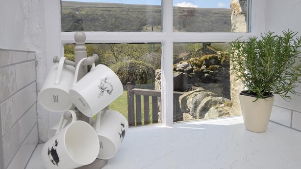 A room with a large window, a potted plant, and a rack of white mugs with rabbit designs. - 4 Bed in Kettlewell (oc-g0041) (Starbotton)