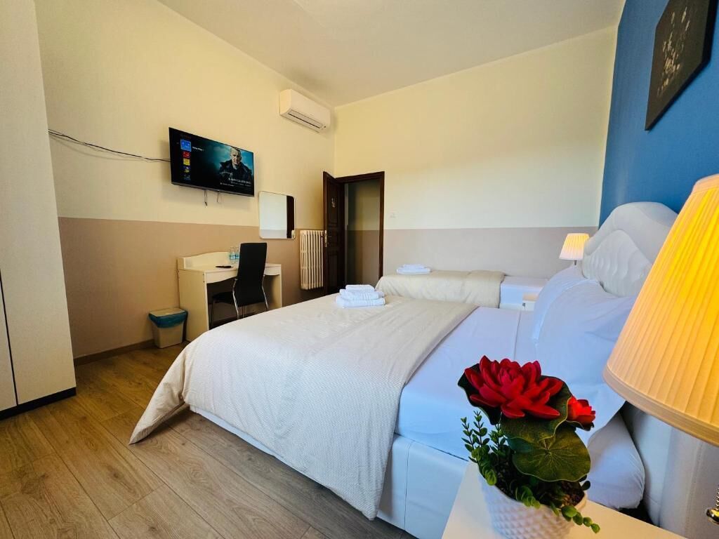 A hotel room with a bed, bedside table, lamp, TV, and a small plant.