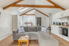 TV, fireplace - 1 Bed in Taunton (oc-74145) (Williton)