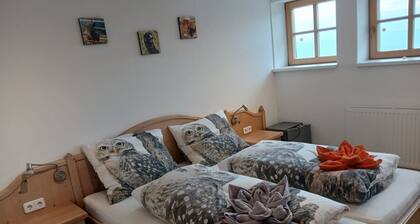 Room with Mountain View and Wi-Fi in Weißenberg