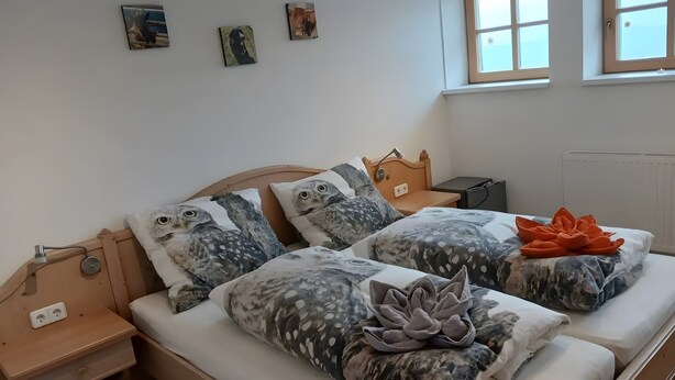 A double bed with owl-themed bedding, a bedside table, a lamp, and a window with a view.