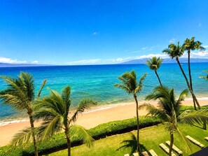 Blick auf einen Strand mit Palmen und blauem Himmel.