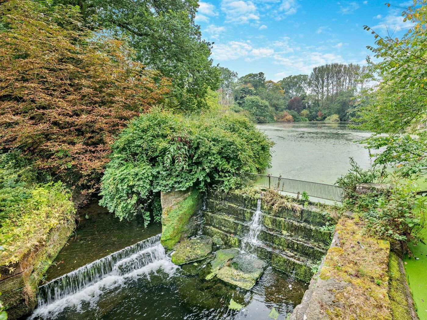 Een rivier met een kleine waterval, omringd door weelderige begroeiing en bomen.