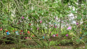 Ein Baum mit bunten Schmetterlingsdekorationen.