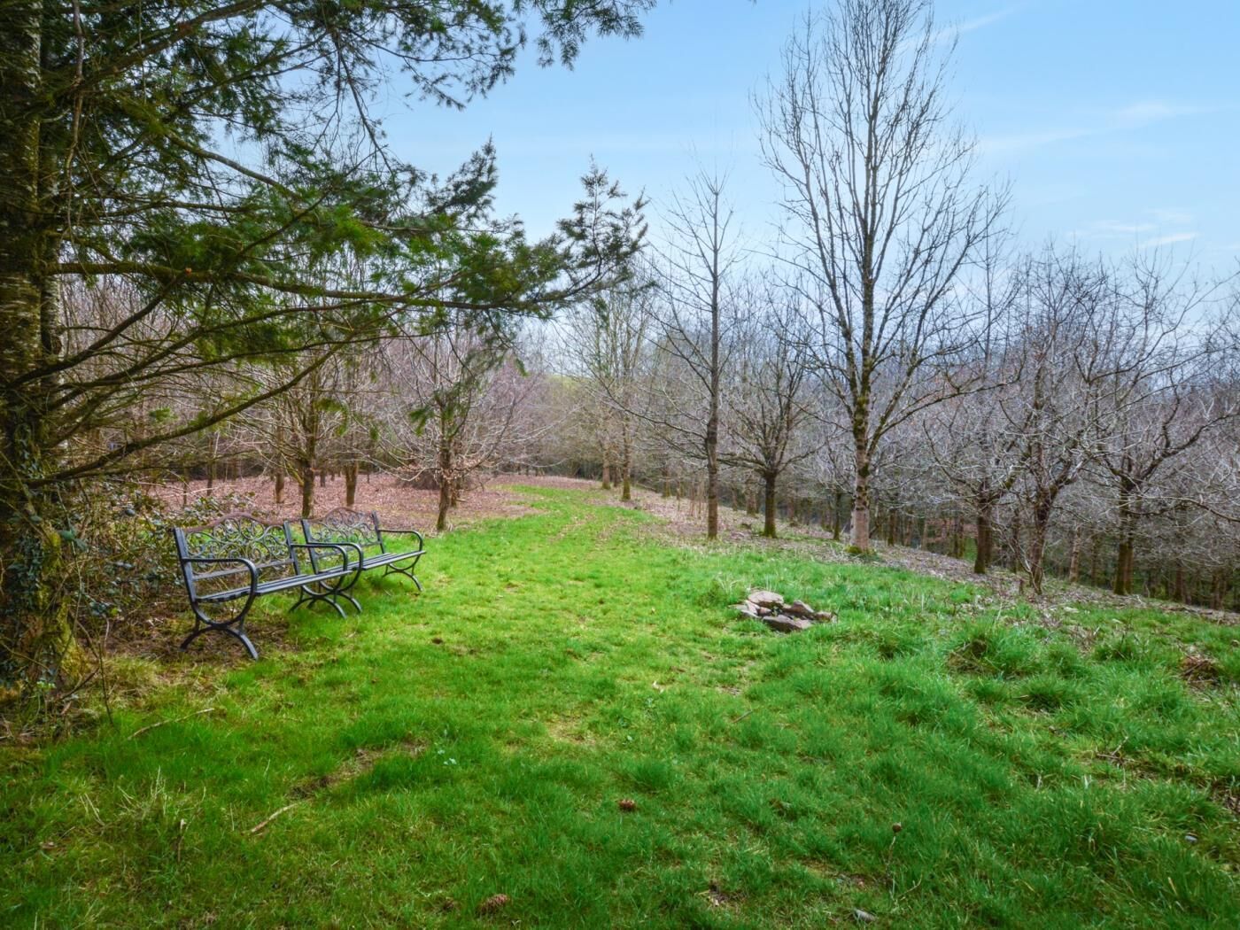 A park with a bench, trees, and a grassy area.