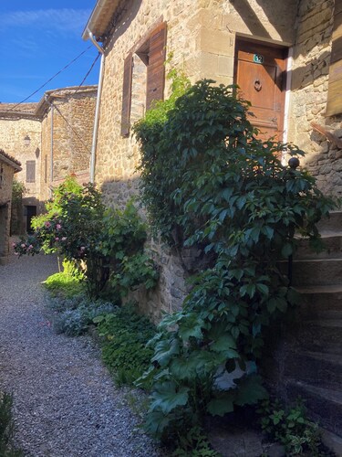 The House of the Joyful Patou