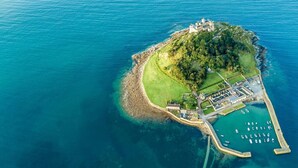Una vista aerea di un’isola costiera con un castello, un porto turistico con barche e una zona verde curata.