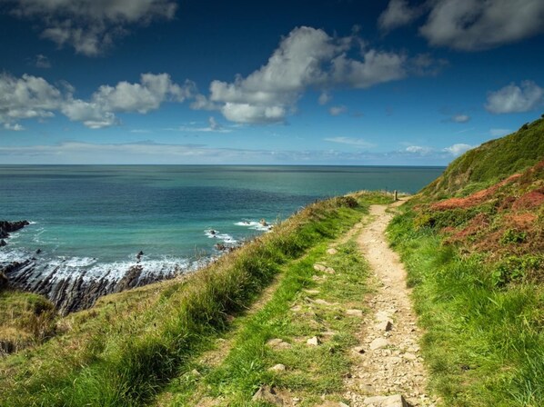 A coastal path with a clear view of the sea and a distant shoreline.