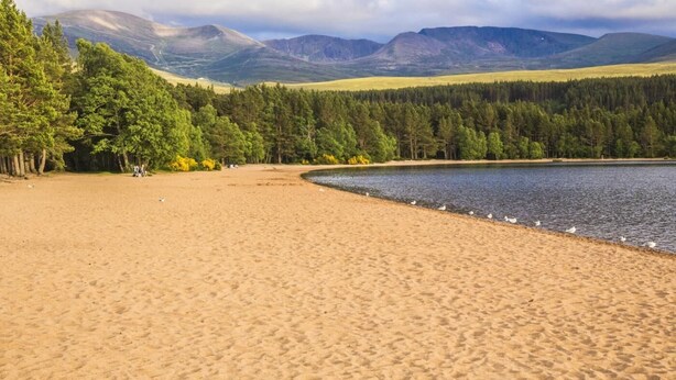 Ein Strand mit bewaldetem Gebiet und Bergen im Hintergrund.