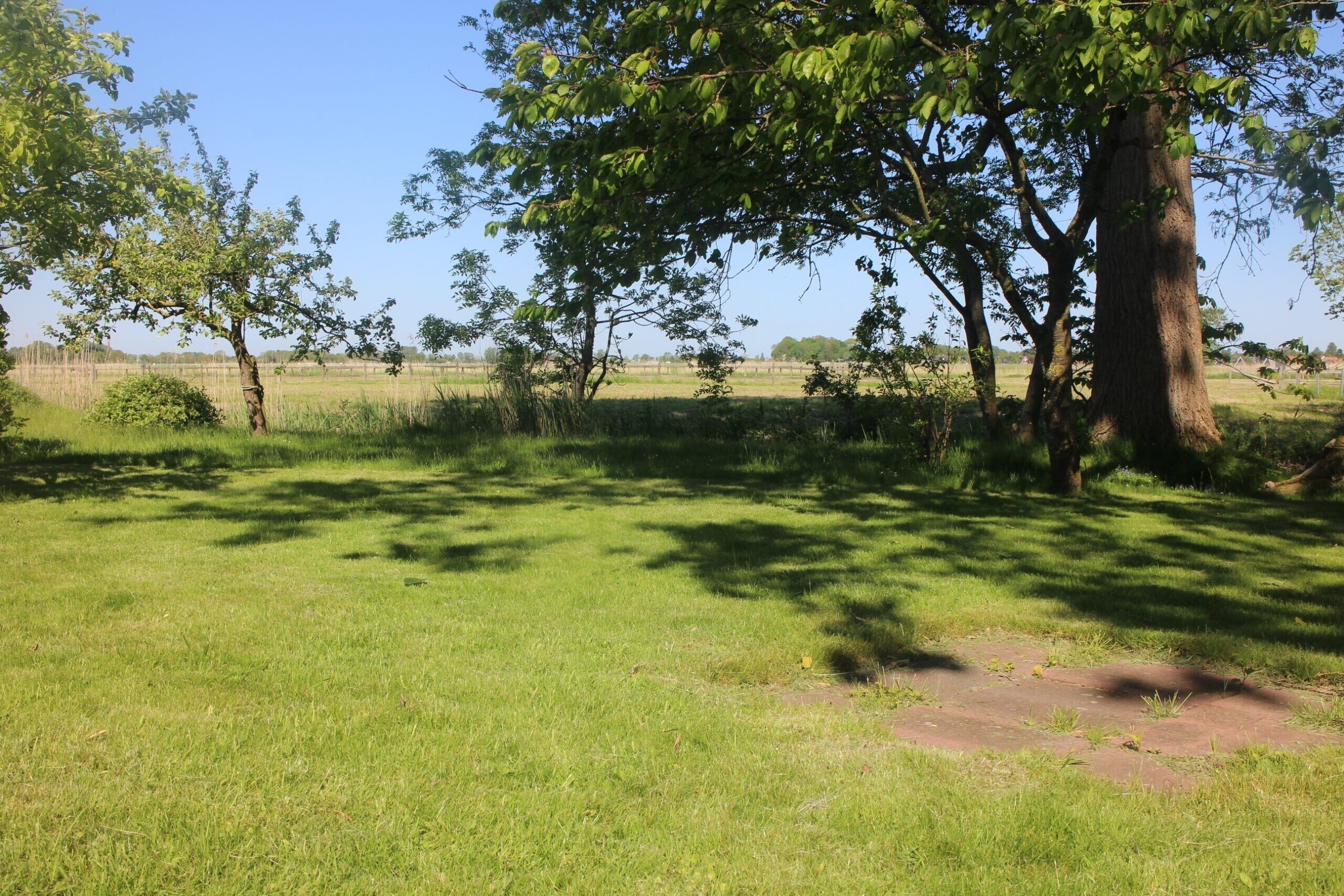 A grassy field with trees and a clear sky.