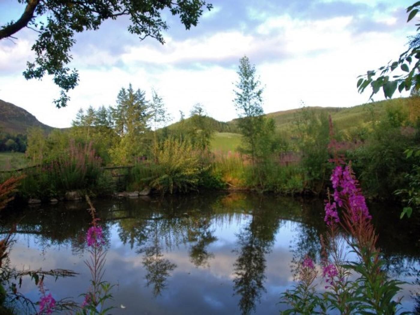 Terrain de l’hébergement 
