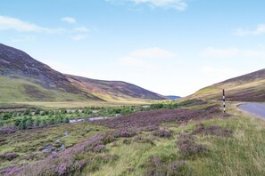 A rural landscape with rolling hills, a winding road, and a stream. - 1 Bed in Blairgowrie (oc-ca361) (Blacklunans)