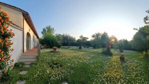 Un jardín con un edificio blanco, flores anaranjadas y un sendero.