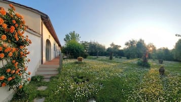 Parco della struttura