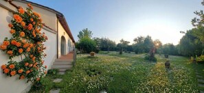 Property grounds - Country Suite Olivo for 2 with Garden and Pool (Bagno a Ripoli)