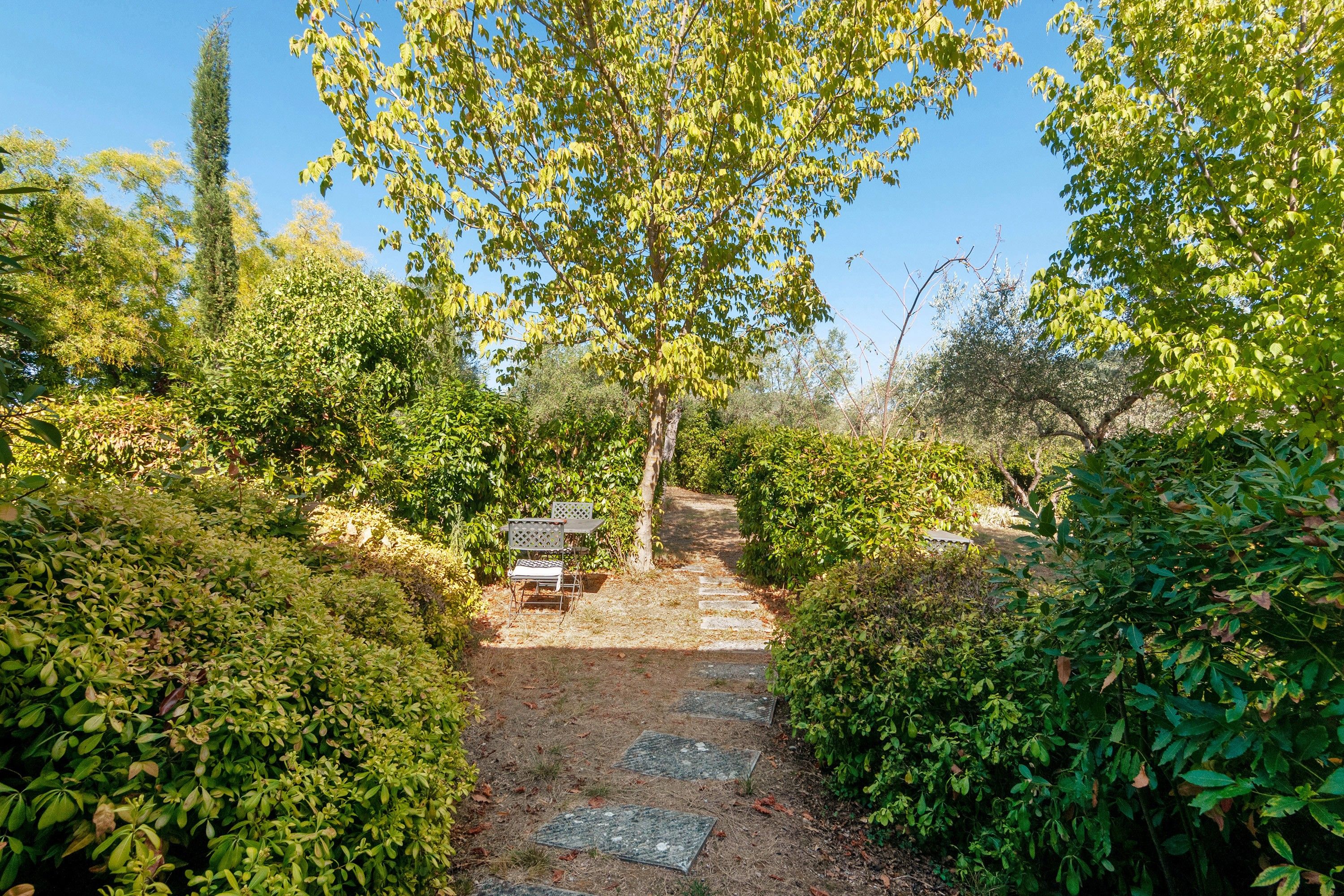 Un sendero lleva a un banco en un exuberante jardín.