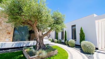 Un edificio moderno con fachada de piedra, un gran árbol en el centro y un jardín bien cuidado con setos y un sendero.