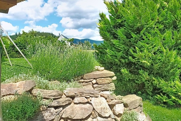 Strauch, Landschaft, Garten, Steinwand, Immergrün, Lärche, Pine Familie