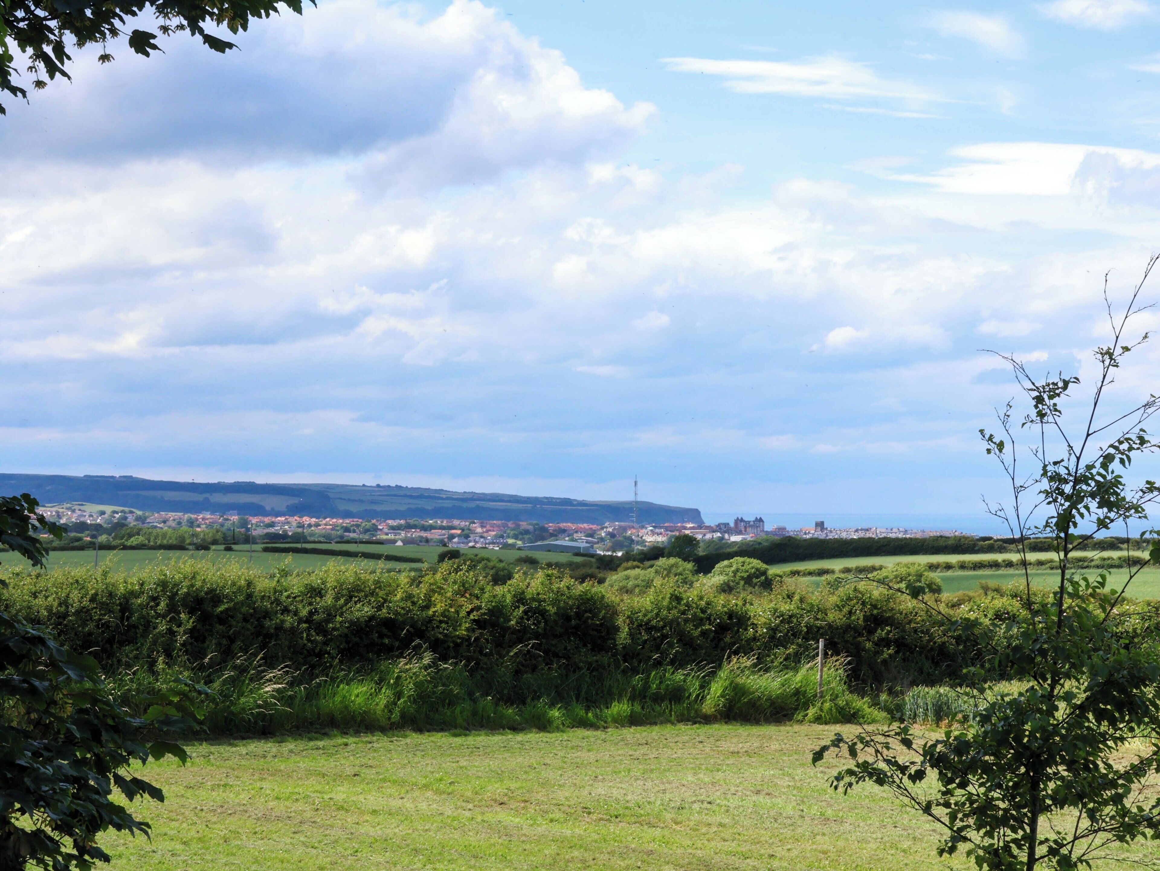 A rural landscape with a view of a town in the distance, surrounded by greenery and fields.
