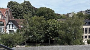 Une vue d’un bâtiment doté d’un balcon, d’une zone pavée et d’un grand arbre en arrière-plan.
