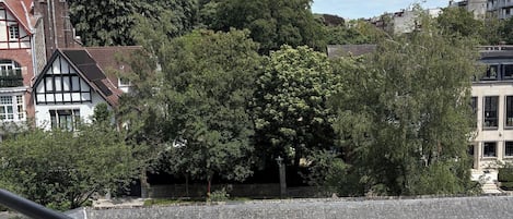Vista de un edificio con balcón, zona pavimentada y un gran árbol al fondo.