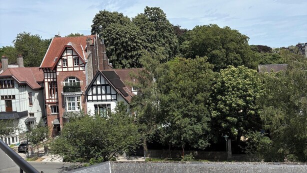 Een woonwijk met traditionele architectuur, waaronder een huis in Tudorstijl met een rode dakbedekking en ramen met witte kaders, omringd door weelderige begroeiing en andere huizen.