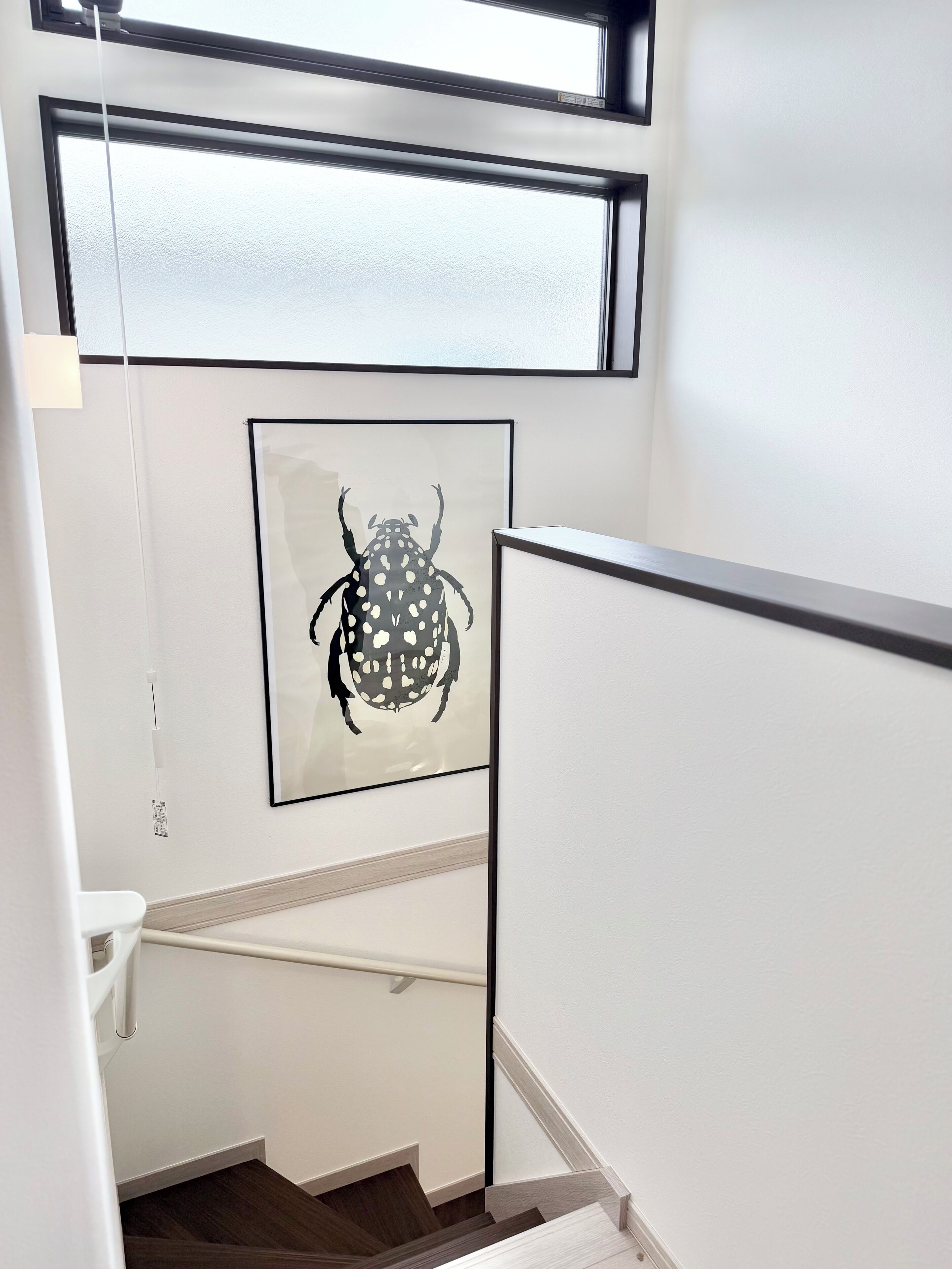 A staircase with a framed artwork of a beetle, a white wall, and a light switch.