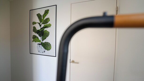 A hallway with a door and a framed botanical print on the wall. - JP Sugimizu Units By Restavio (Ozu)