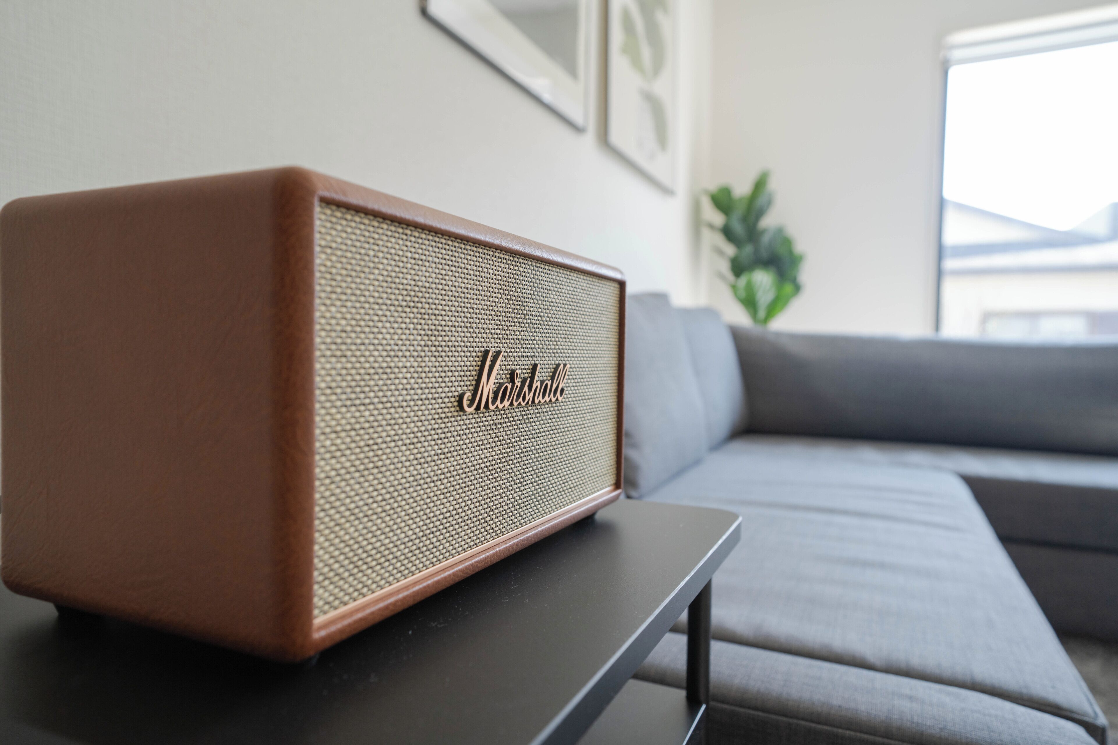 A brown Marshall speaker on a black table in a living room with a gray sofa and a plant in the background.