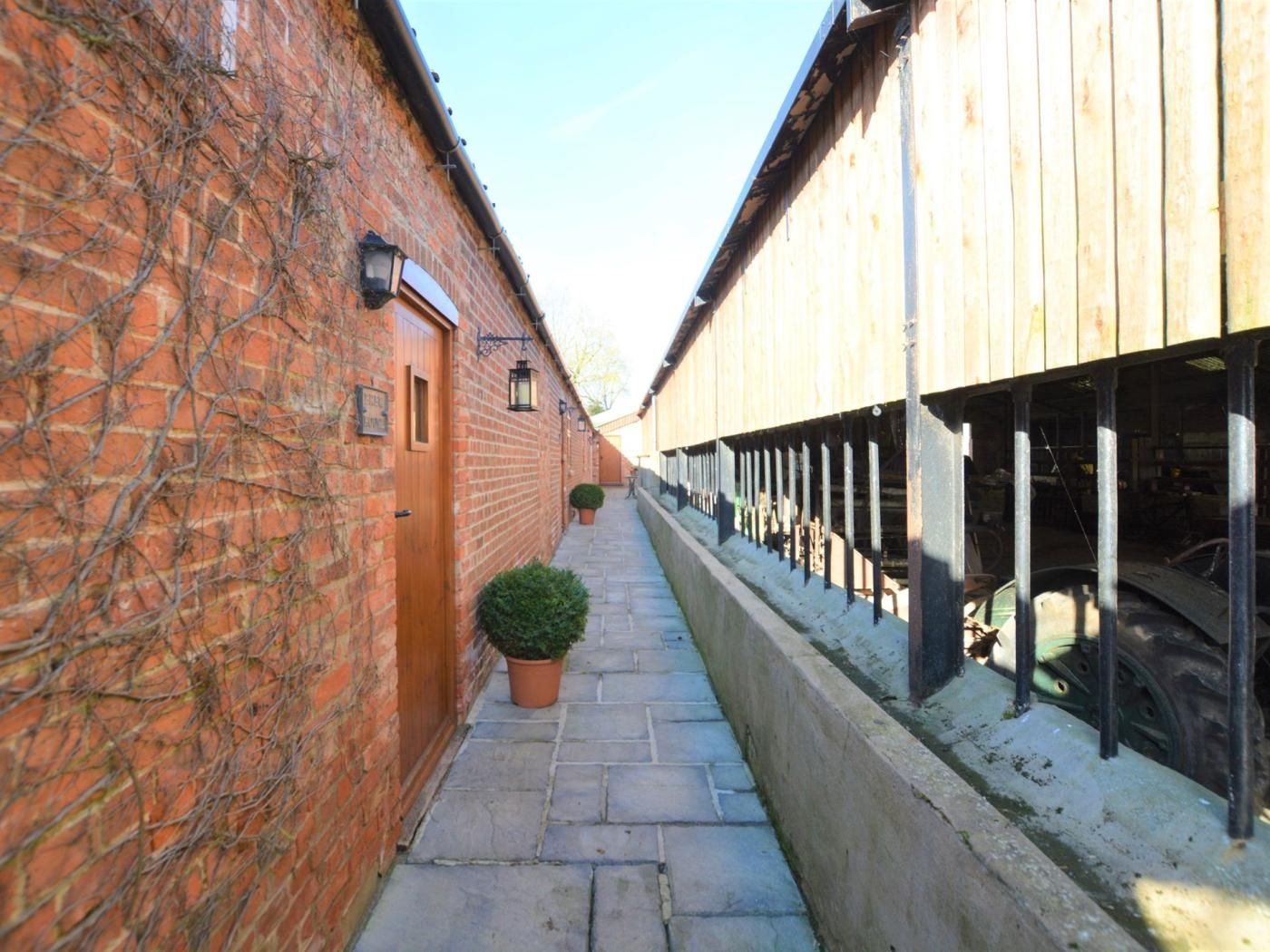 A narrow alleyway with a brick wall on one side and a wooden building on the other. There is a potted plant in the center of the alley.