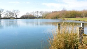 Ein ruhiger See mit Bäumen und einer grasbewachsenen Fläche im Hintergrund.