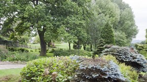 Un jardin où l’on trouve différentes espèces de plantes et d’arbres.