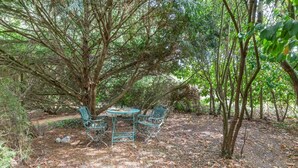 A rustic outdoor seating area with a metal table and chairs, surrounded by trees and natural ground cover. - 4 Bed in Dorchester (oc-dc133) (Winfrith Newburgh)