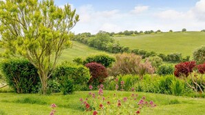 A lush garden with a variety of plants and a large tree. - 3 Bed in Swanage (oc-dc140) (Worth Matravers)