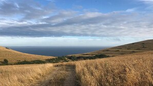 A grassy path leading to a hilly landscape with a view of the ocean under a partly cloudy sky. - 3 Bed in Swanage (oc-dc140) (Worth Matravers)