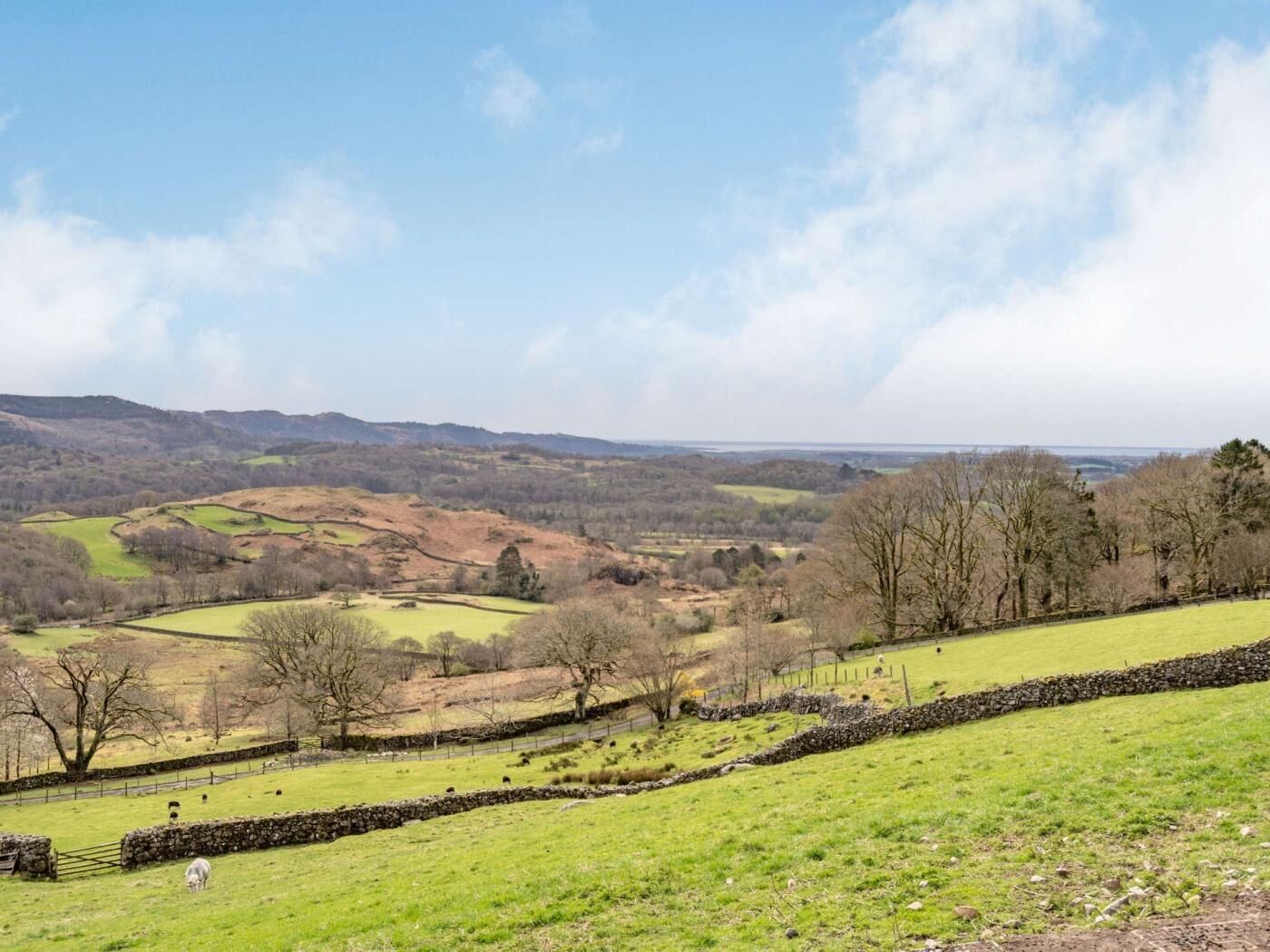 Ländliche Landschaft mit sanften Hügeln, Steinmauern und weidenden Schafen.