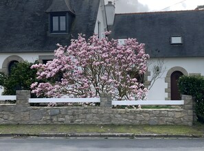 Un muro de piedra con un árbol en flor frente a un edificio de techumbre oscura y paredes blancas.