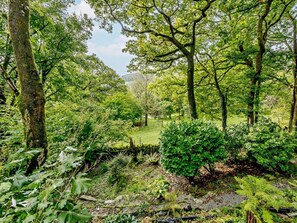 A lush green landscape with a variety of trees and shrubs.