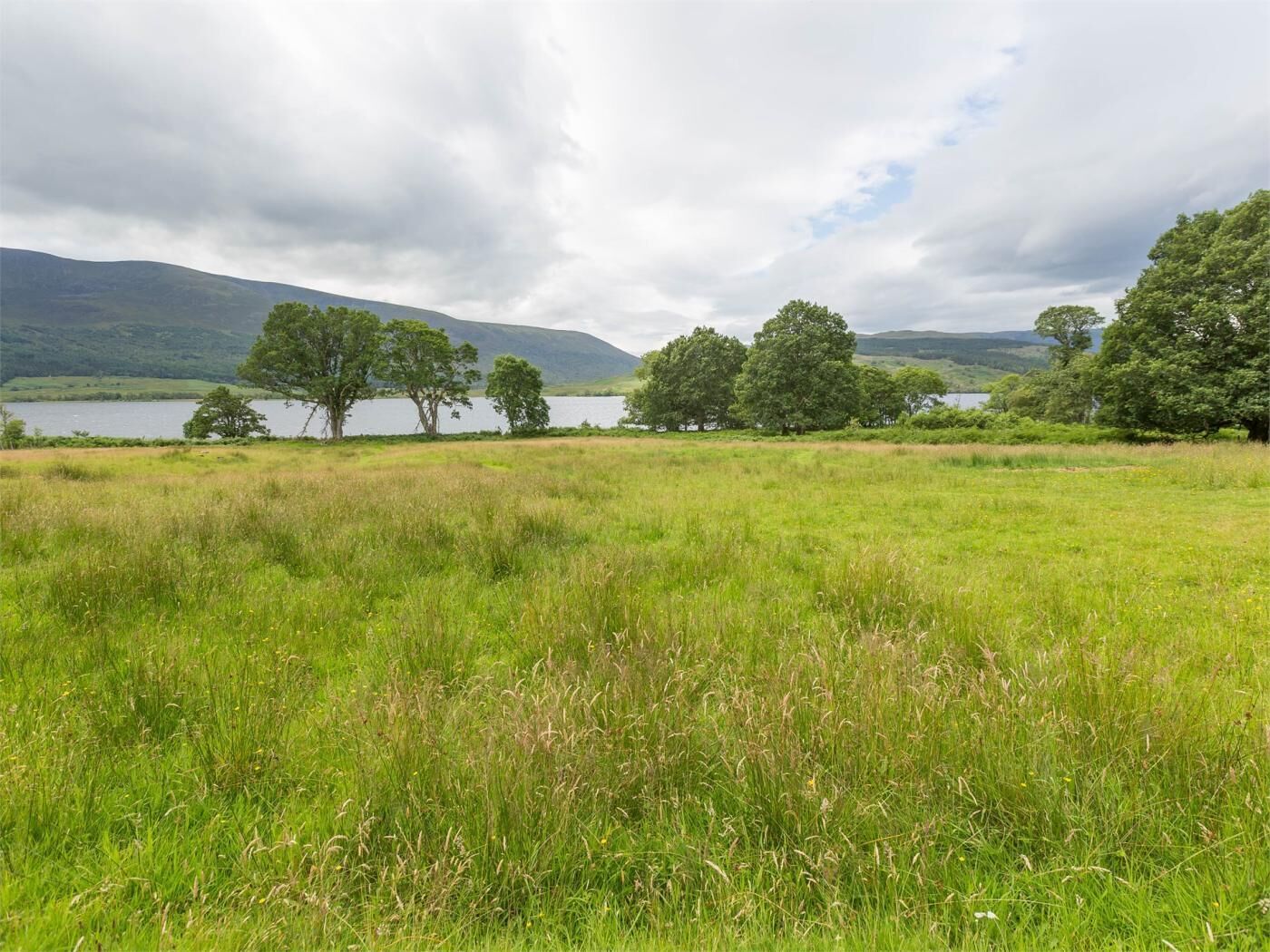 Ein grasbewachsenes Feld mit Bäumen und einem See im Hintergrund.