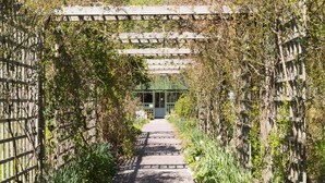 A pathway flanked by wooden fences and greenery leading to a structure with a green roof. - 2 Bed in Applecross (oc-ca422) (Applecross)