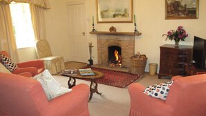 Una sala de estar con dos sofás, una chimenea, un televisor y un cuadro en la pared.