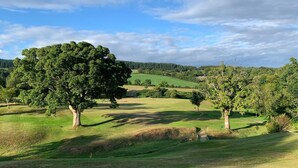 Un parcours de golf avec un grand arbre, des collines verdoyantes et un ciel dégagé.