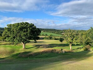 A golf course with a large tree, rolling green hills, and a clear sky. - 4 Bed in Isle Of Arran (oc-ca381) (Brodick)