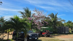 Una carretera rural con un SUV negro, un carrito de golf rojo y un remolque.