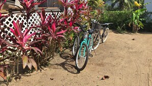 Una bicicleta estacionada junto a una cerca con plantas tropicales.