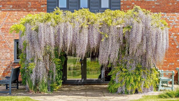 A brick building with a covered entrance, a bench, and a garden area. - 5 Bed in Ashford (oc-76428) (Smarden)