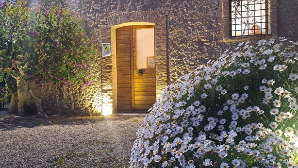 Ein rustikales Steinhaus mit Holztür, kleinem Fenster und einem Garten mit weißen Blüten.